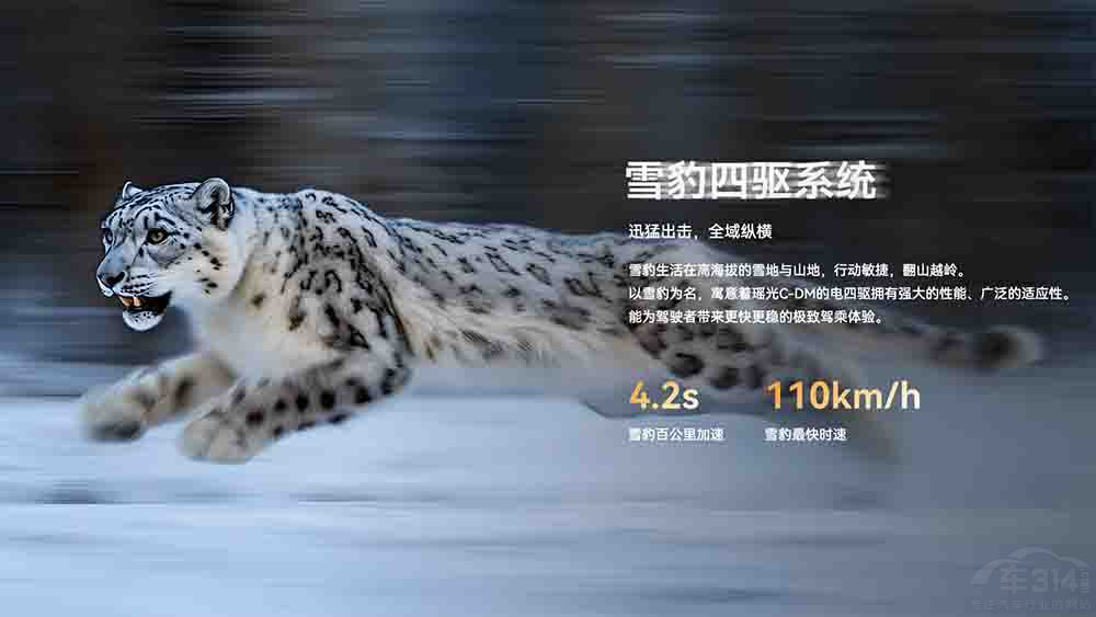 ;C-DM(q)15.99f(wn)
