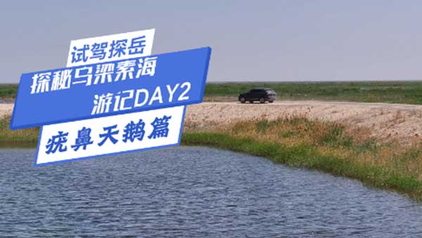 ̽̽؞غӛDAY2Zƪ