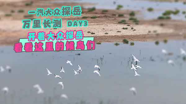 _һ̽@ĺB