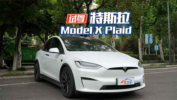 ԇ{Model X Plaid YokePw