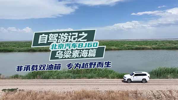 ܇BJ60ǳdp ԽҰ