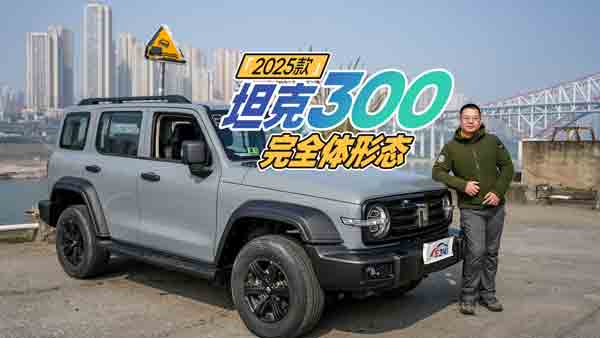 ԇ{2025̹300 GͬKځ
