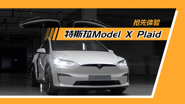 w(yn)˹Model X Plaidح]QܗU
