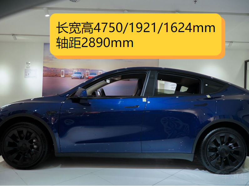 СiG6˹Model YЄ᣿