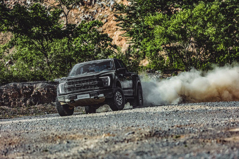 ԽҰƤ F-150ʽ