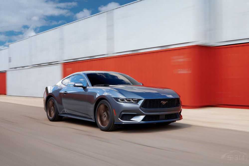Mustangװl(f) ¶x{񂘷Ȥ