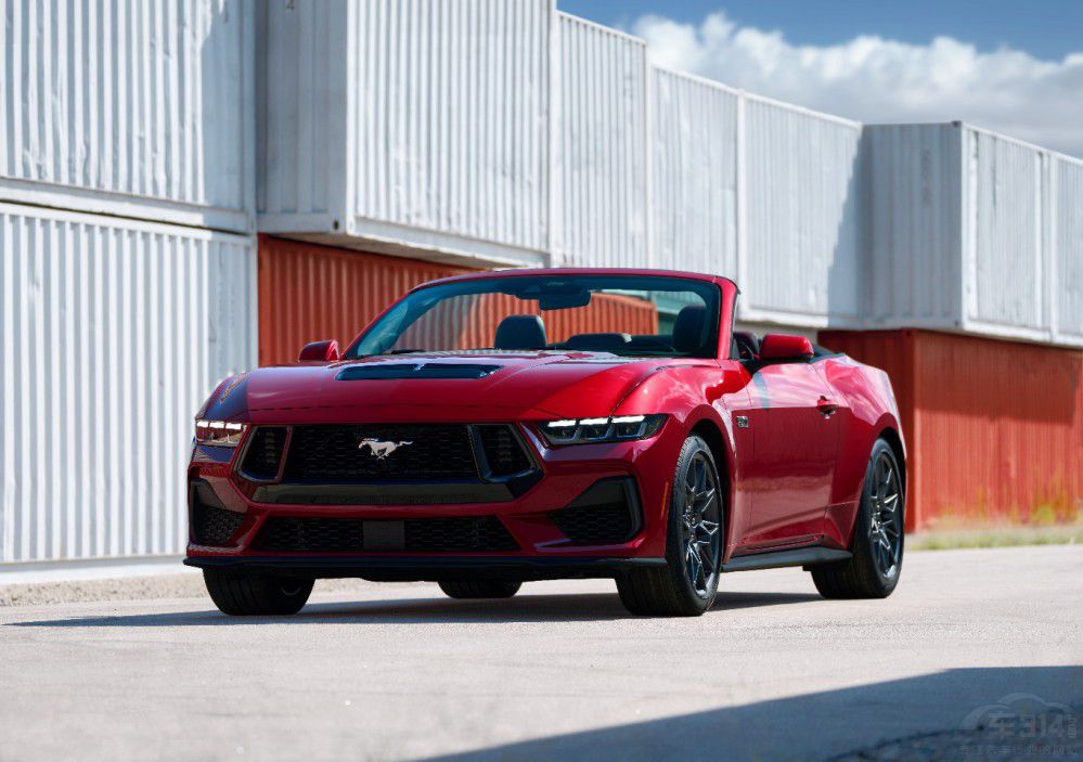 Mustangװl(f) ¶x{񂘷Ȥ