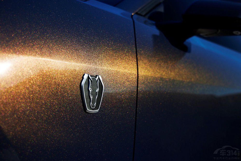 MustangƳMustang Dark Horse܇