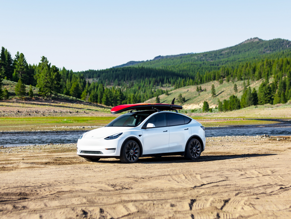 ЇModel Y{p